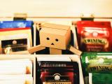 Danbo in a Box of Tea Bags by Jem Sahagun